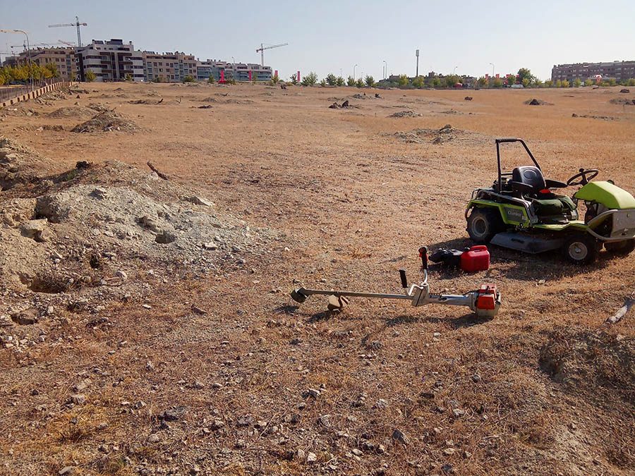 Desbroce en Valdemoro