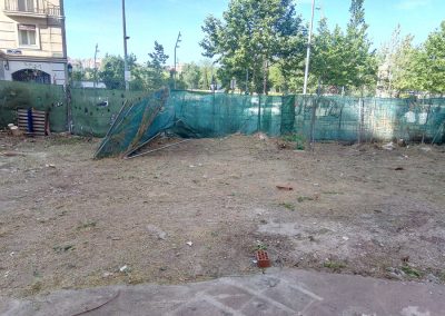 limpieza-residuos-vegetales-en-madrid (2)