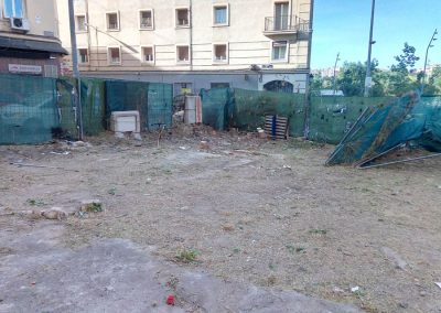 limpieza-residuos-vegetales-en-madrid (3)