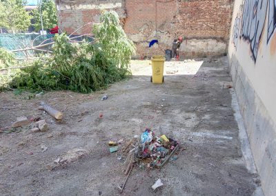 limpieza-residuos-vegetales-en-madrid (4)