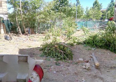 limpieza-residuos-vegetales-en-madrid (5)