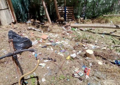 limpieza-residuos-vegetales-en-madrid (6)