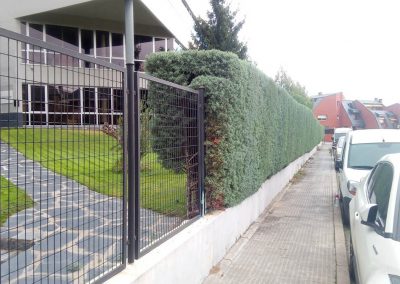 recorte-setos-comunidad-madrid (6)