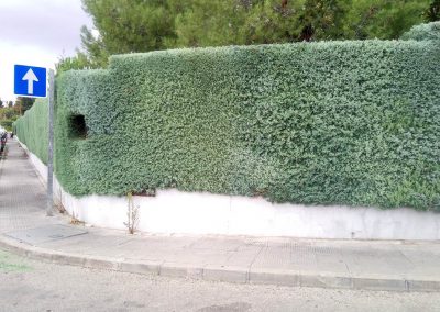 recorte-setos-comunidad-madrid (9)