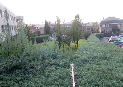 recorte-setos-comunidad-madrid-110